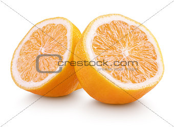 Rangpur (lemandarin) - citrus fruit, hybrid mandarin orange and lemon