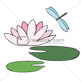 Water Lily and dragonfly isolated over white.