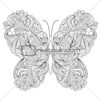  butterfly on white background