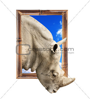 Rhinoceros in bamboo frame with 3d effect