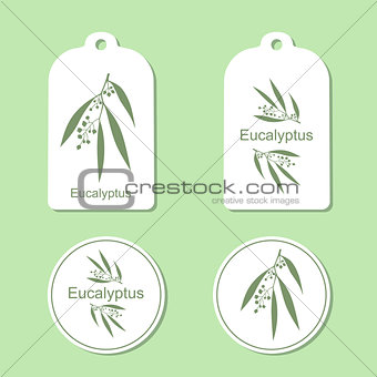 Silhouette of Eucalyptus with leaves.  Medicinal plant. Healthy lifestyle. Vector  Illustration. Health and Nature Set of Tags and Labels