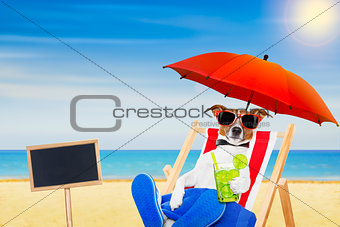 dog beach chair cocktail