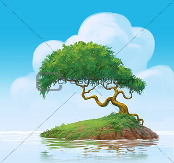 tree on swamp