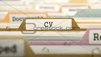 CV Concept. Folders in Catalog.