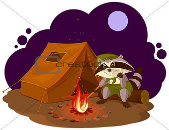 Summer holiday camp. Scout raccoon sitting around campfire. Raccoon tourist tent set. Camping