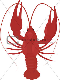 one boiled red crayfish, crawfish