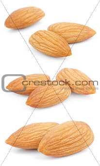 Set of almond nuts on white