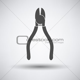Side cutters icon