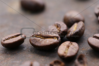 macro shot of coffee beans on a steel background, soft focus