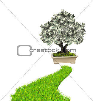 Money tree with dollar banknotes and road with green grass