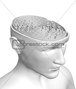Human head with brain in form of the maze