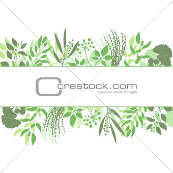 Green rectangle frame with collection of plants. Silhouette of branches isolated on white background