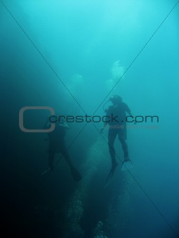 blue divers