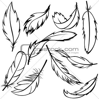 Set of feathers