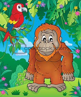 Orangutan theme image 2