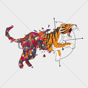 Jumping tiger from triangulating world