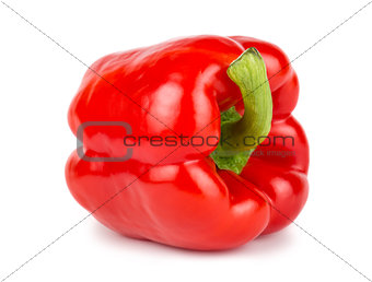 Red sweet bulgarian pepper on white background