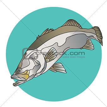 Barramundi Fish Logo