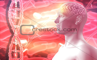 3D medical background with male figure with brain and DNA strand