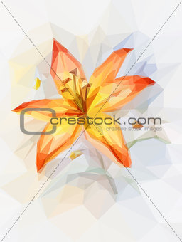 Floral Pattern with Lily