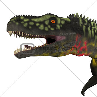Arizonasaurus Dinosaur Head