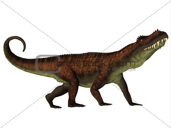 Prestosuchus Side Profile