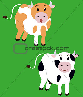 two cute cow,  isolated cartoon calf