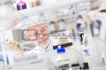 Life scientist researching in the laboratory.