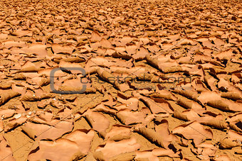 Cracked earth in  Sahara desert
