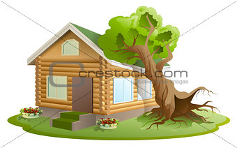 Hurricane tree fell on house. Property insurance