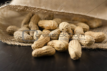 Peanuts in shell in a jute cloth bag
