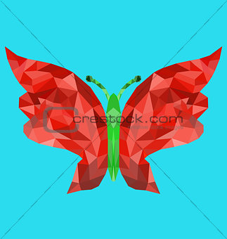 Polygon butterfly image