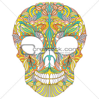floral skull on white background.