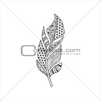 Vaned Feather Zentangle For Coloring