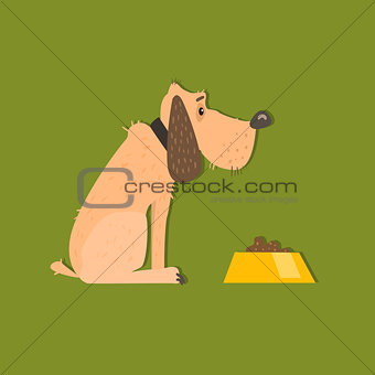 Bloodhound With Food Bowl Image
