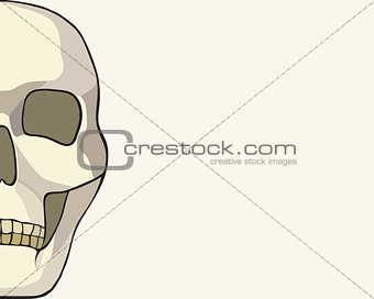 human skull or grim reaper deaths head illustration