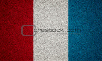 France Flag Grass