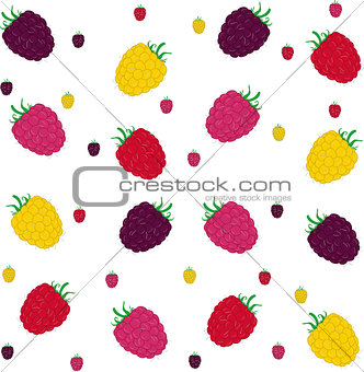 Raspberries seamless pattern. Vector illustration.