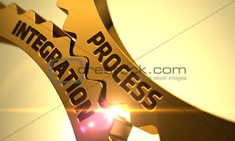 Process Integration on the Golden Cog Gears.
