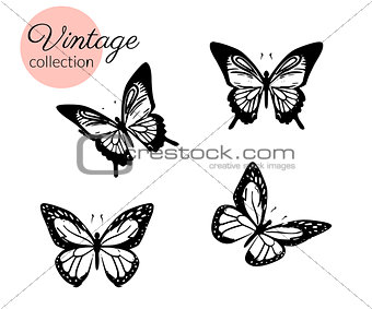 Set of four black and white butterflies silhouette with open wings