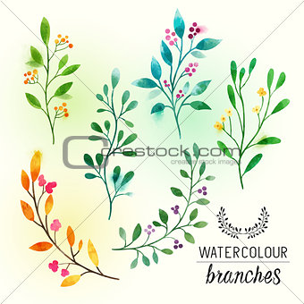 watercolour Floral Branches