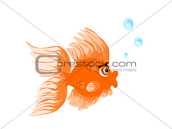 Cute Gold Fish with Bubbles