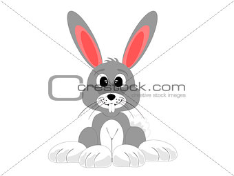 Cute Grey Smiling Sitting Rabbit