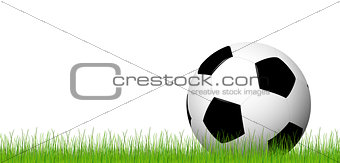 soccer ball lying in the grass