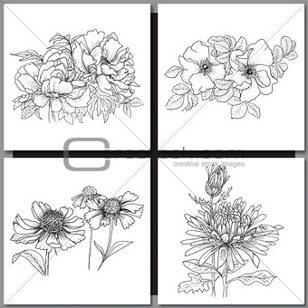 Set of Romantic vector background with three echinaceas.