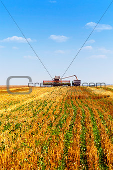 agricultural field   cleaning