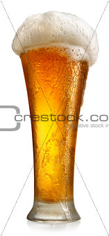 Tumbler with beer
