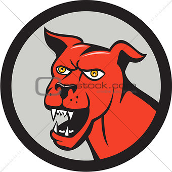 Red Mastiff Dog Mongrel Head Barking Circle Cartoon