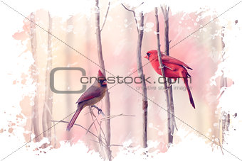 Two Northern Cardinals Watercolor