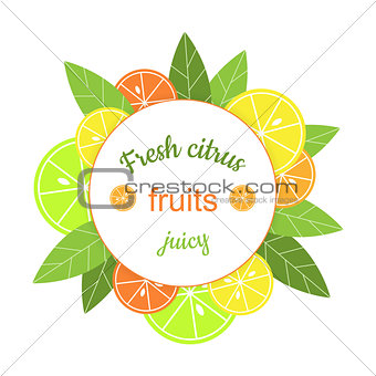 Vector round frame with citrus.